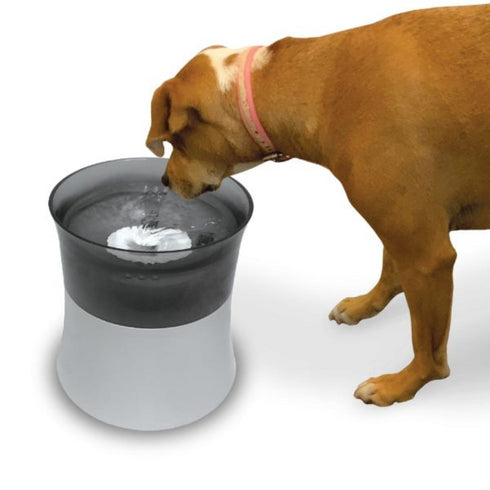 Pioneer Pet Elevated Vortex Pet Drinking Fountain, White, 128 Fluid Ounces